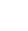 safety icon